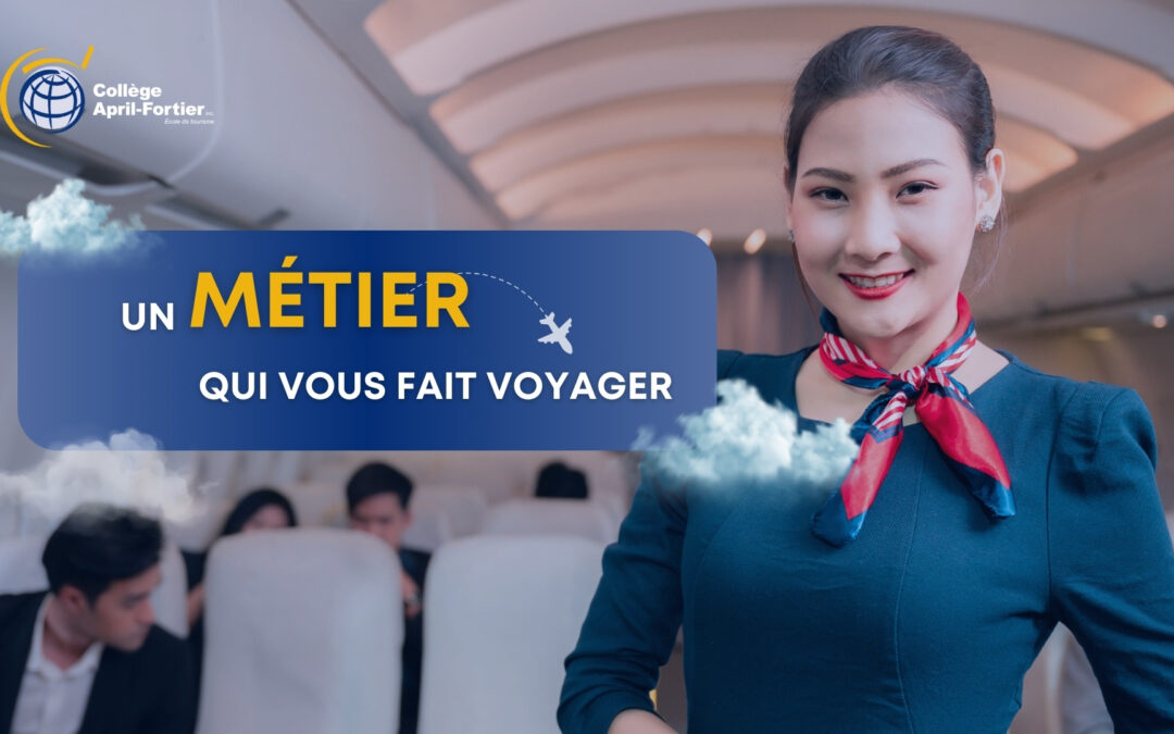 Devenir agent de bord – Un métier de passion et d’excellence